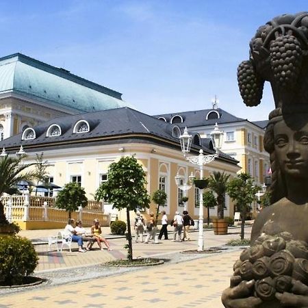 Penzion U Modreho Slona Франтишкови-Лазне Экстерьер фото