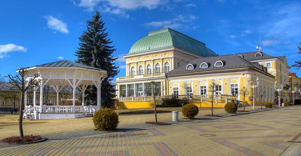 Penzion U Modreho Slona Франтишкови-Лазне Экстерьер фото